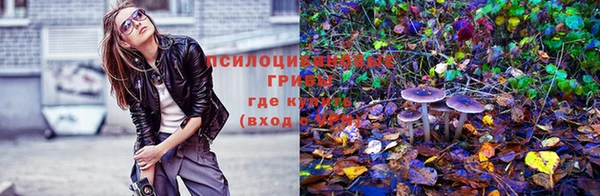 соль курить ск Арсеньев